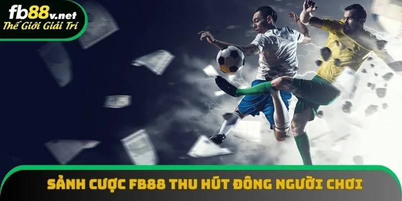 Sảnh cá cược bóng đá FB88 có số người chơi tăng mạnh