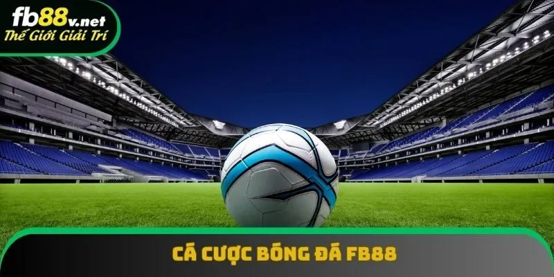 Cá Cược Bóng Đá FB88 Có Những Loại Kèo Nào Phổ Biến Nhất?