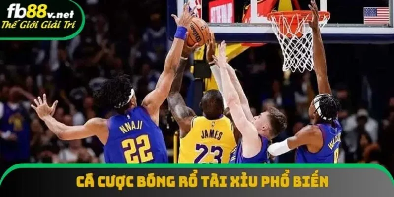 Tài xỉu là kiểu chơi cược bóng rổ phổ biến nhất Tài xỉu là kiểu chơi cược bóng rổ phổ biến nhất