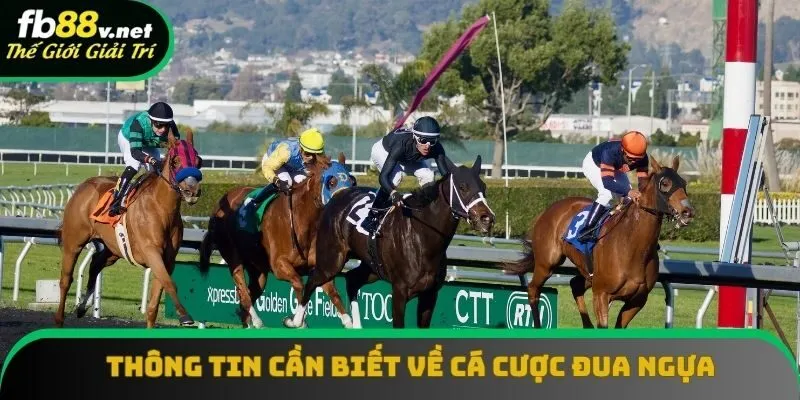 Thông tin cần biết về cá cược đua ngựa