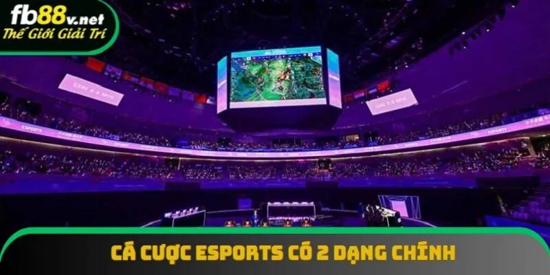 Trong bet esports chia thành hai dạng chính là MOBA và FPS game