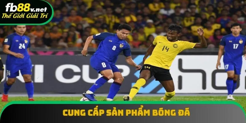 Cá cược thể thao FB88 cung cấp bóng đá Cá cược thể thao FB88 cung cấp bóng đá