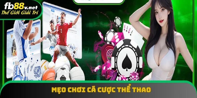 Những mẹo chơi cá cược thể thao FB88 Những mẹo chơi cá cược thể thao FB88