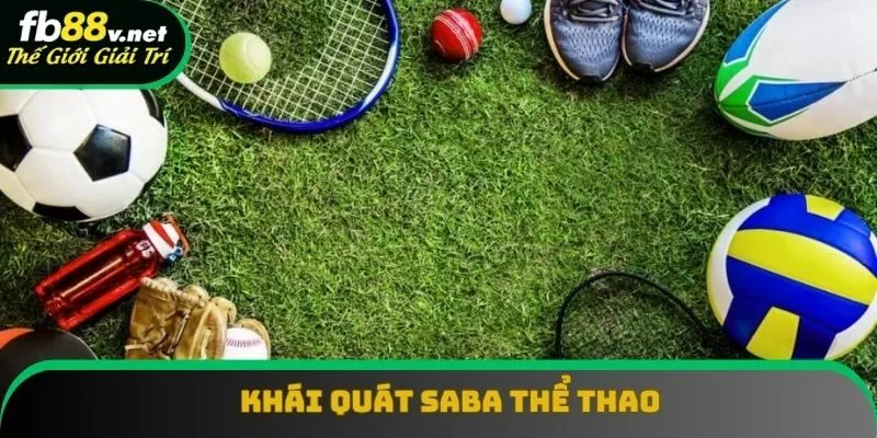 Thông tin giải trí CMD thể thao đáng chú ý Thông tin giải trí CMD thể thao đáng chú ý