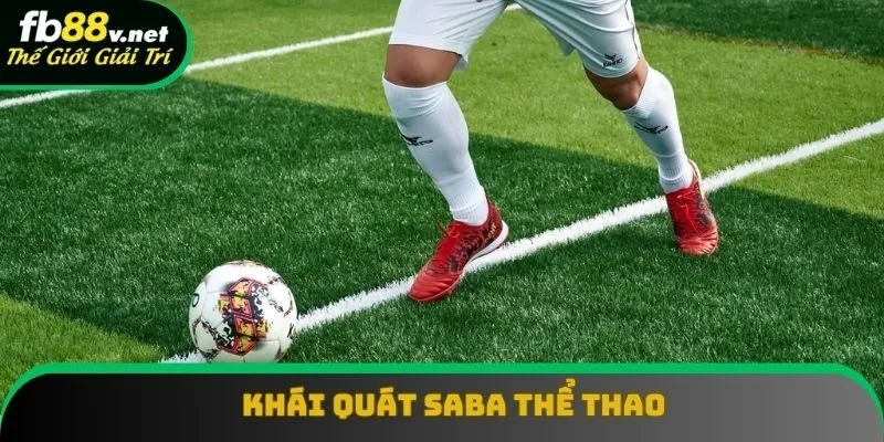 Thông tin tiêu biểu về SABA thể thao