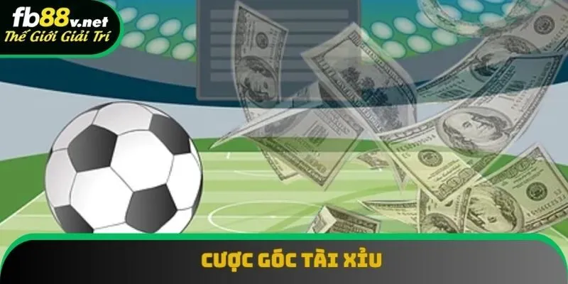 Cược góc tài xỉu luôn thu hút người chơi Cược góc tài xỉu luôn thu hút người chơi