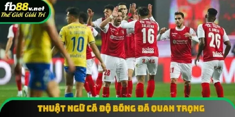 Nắm rõ về sự quan trọng của thuật ngữ cá độ bóng đá