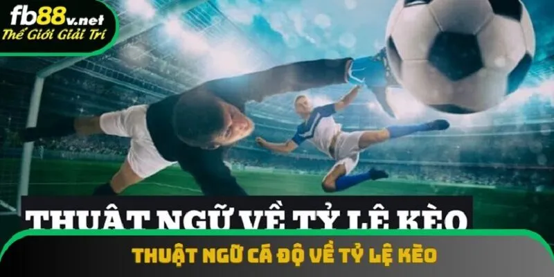 Thuật ngữ về odds phản ánh xác suất xảy ra của một kết quả