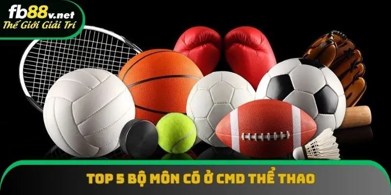 Top 5 bộ môn thể thao siêu nổi trội Top 5 bộ môn thể thao siêu nổi trội